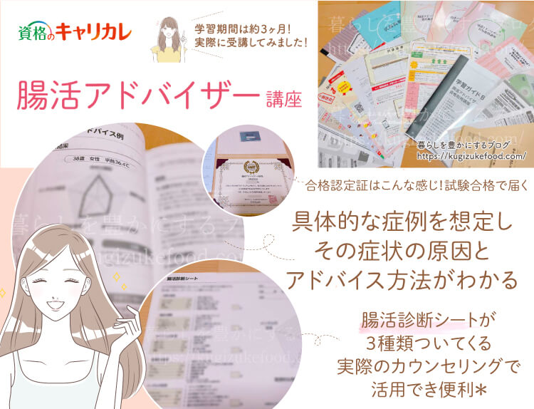 キャリカレの腸活アドバイザー資格講座独学NG!口コミや評判・資格試験難易度とテキスト
