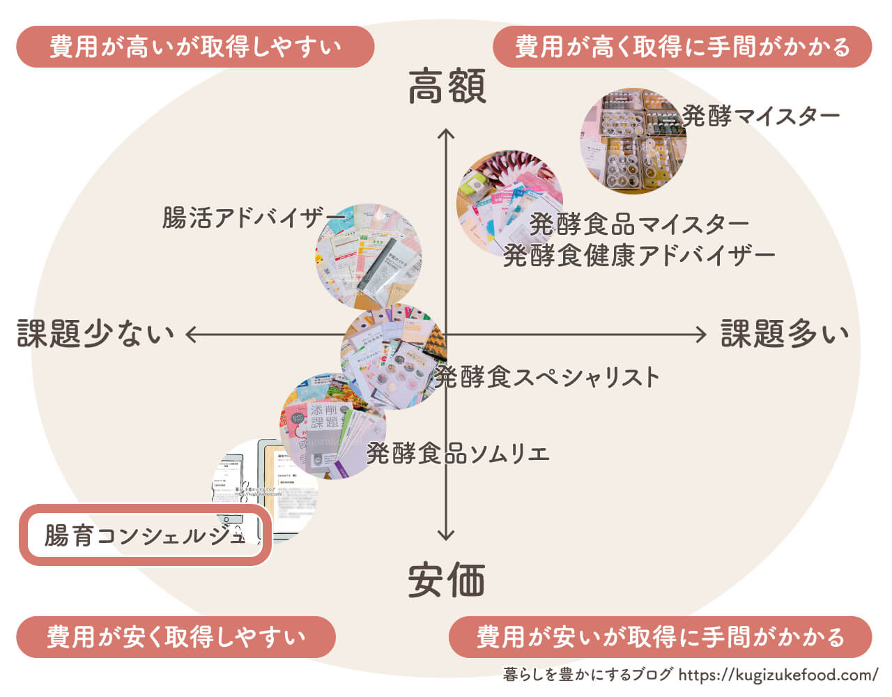 発酵資格はどれがいい？腸活おすすめ7種類の資格一覧比較したポジショニングマップ