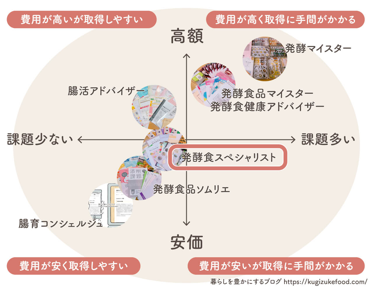 発酵資格はどれがいい？腸活おすすめ7種類の資格一覧比較したポジショニングマップ