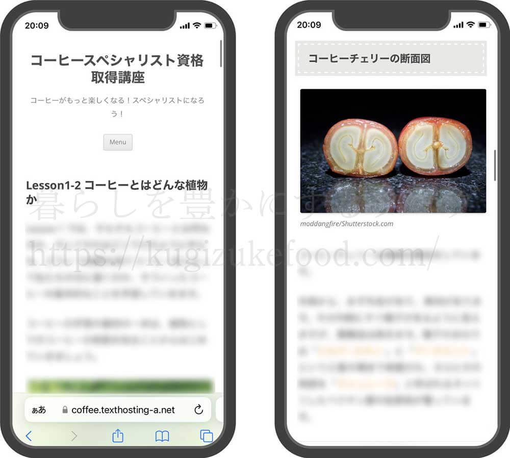 formieのコーヒースペシャリスト資格取得講座