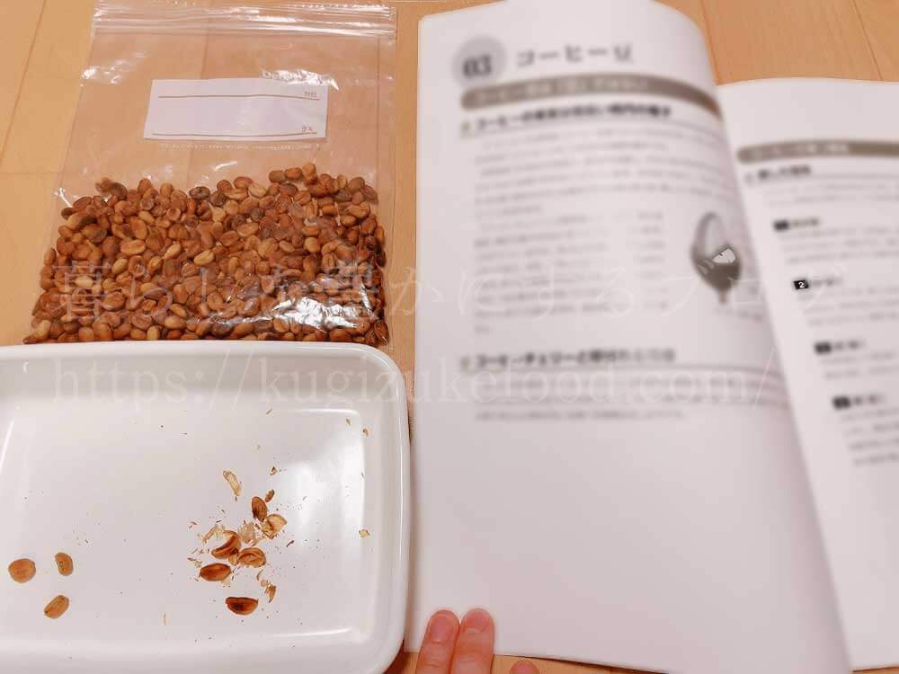 コーヒー豆の収穫