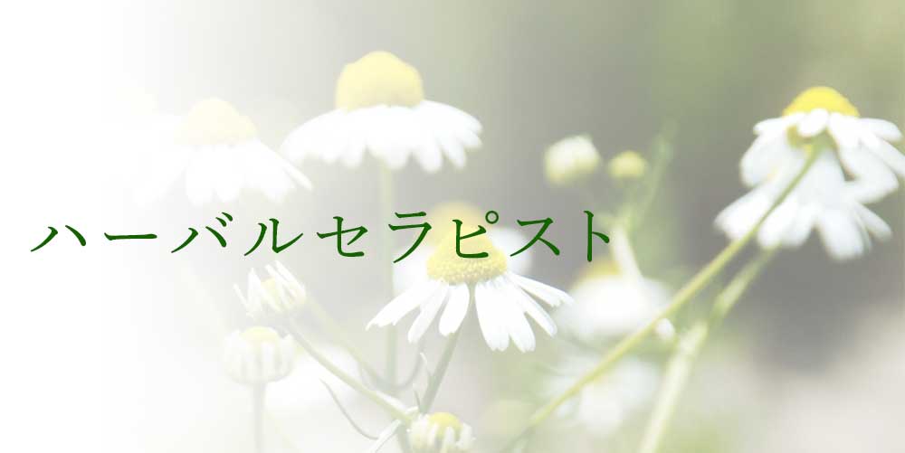 日本メディカルハーブ協会のハーバルセラピスト資格