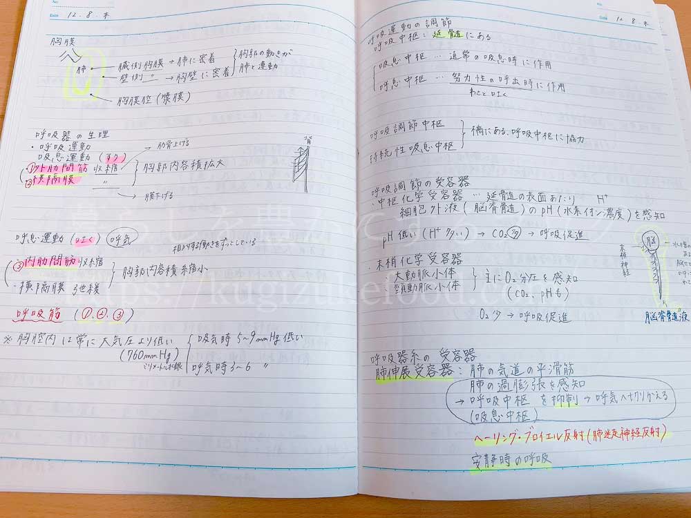 栄養士学校の授業ノート